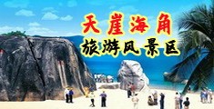 粉嫩少萝内射海南三亚-天崖海角旅游风景区