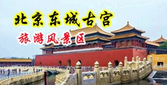 剧情制服性爱视频网站中国北京-东城古宫旅游风景区